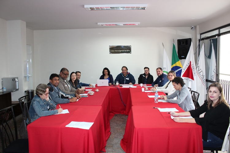 Diretoria colegiada estabelece calendário de manifestações