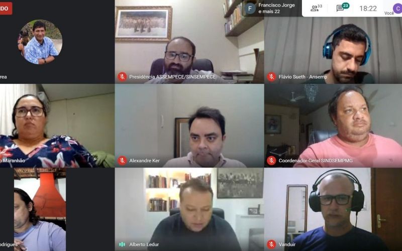 Reforma Administrativa: Reunião ANSEMP/FENAMP dá largada em campanha unificada dos Sindicatos de Servidores dos Ministérios Públicos contra a PEC 32/2020