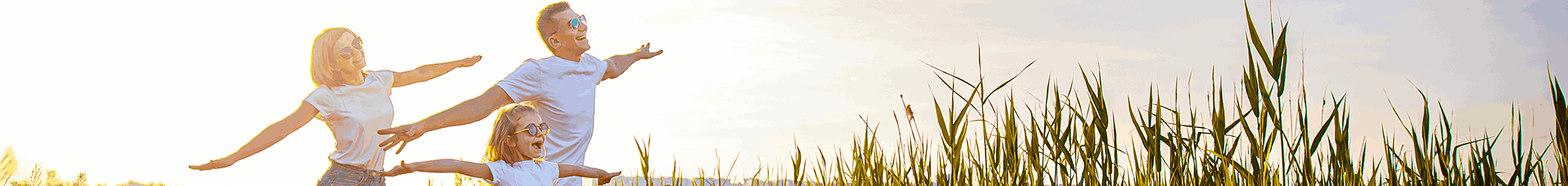 Banner SINDSEMPG