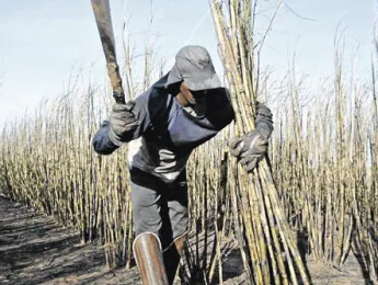 Brasil é um dos 10 piores países para se trabalhar no mundo, aponta relatório