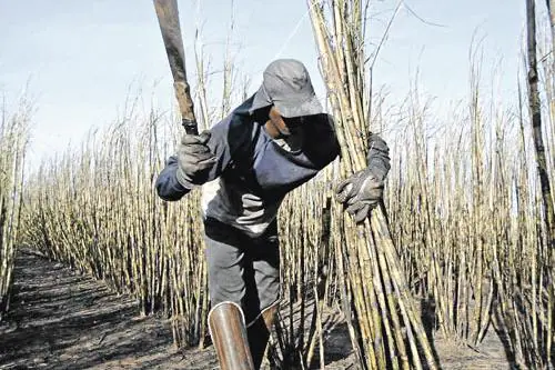 Brasil é um dos 10 piores países para se trabalhar no mundo, aponta relatório